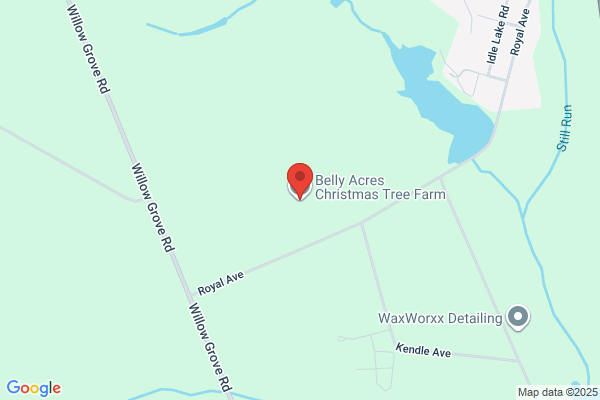 Belly Acres Christmas Tree Farm