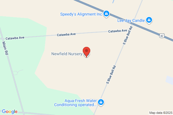 Newfield Flower Farm