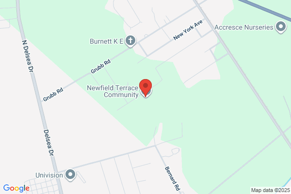 Newfield Terrace Community Action