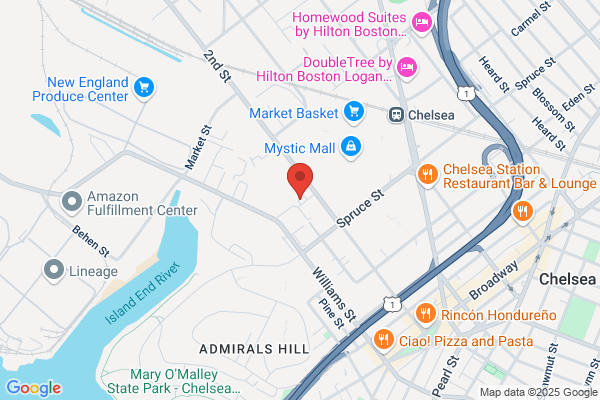Hampton Inn Boston Logan Airport Chelsea