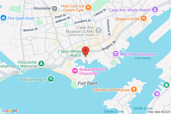 Seven Seas Cruise Centers
