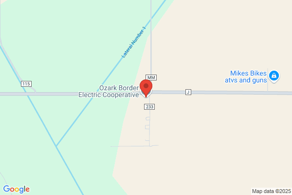 Ozark Border Electric