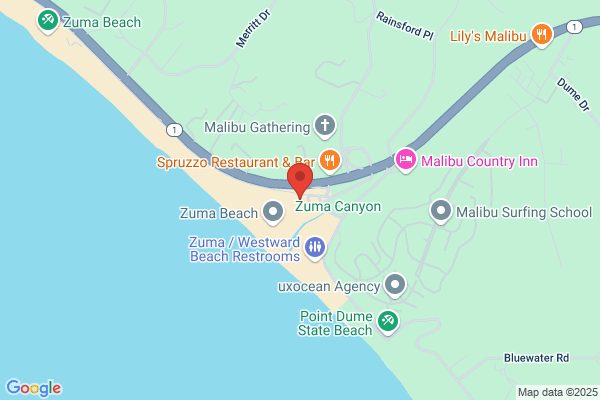 Local Legends Surf Academy