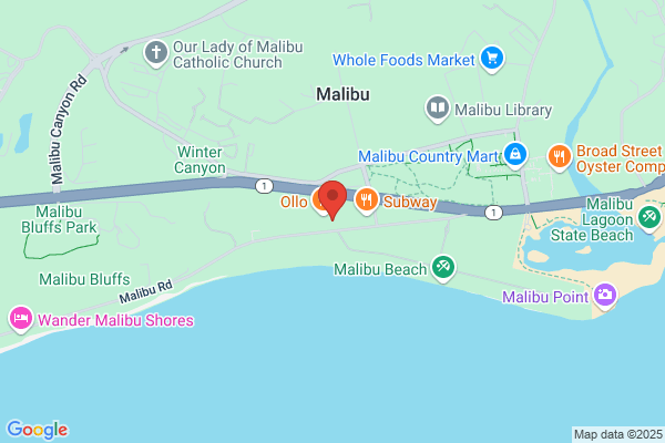 Luxury Malibu Property