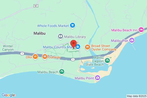 Malibu Rock Star