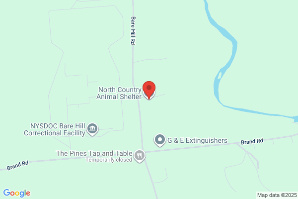 North Country Animal Shelter