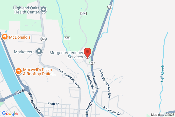 Morgan Veterinary Services