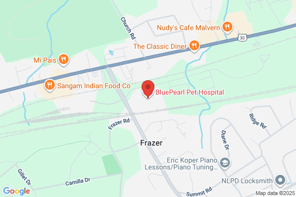 BluePearl Pet Hospital