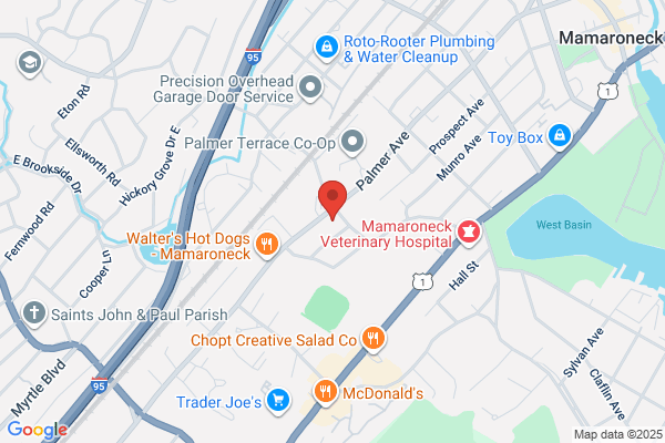 Palmer Avenue Automotive