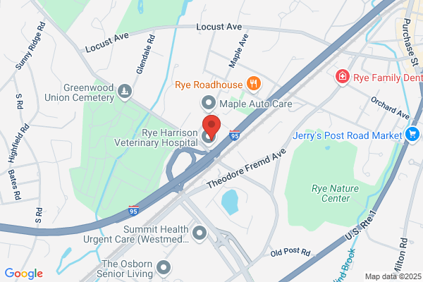 Rye Auto Collision Works
