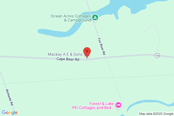 MacKay Kenneth O & Son Inc