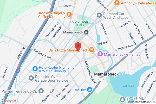 Elite Security Systems of Westchester
