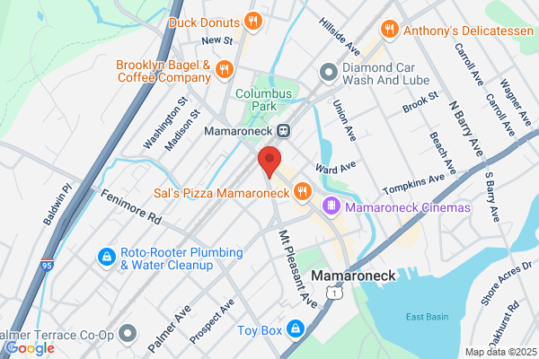 Westchester Rug Cleaner