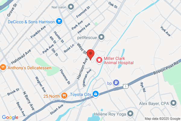 Mamaroneck Chiropractic