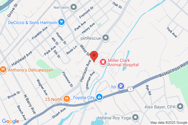 Rye Neck Chiropractic