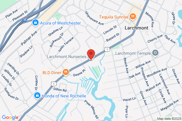 Larchmont Nurseries and Greenhouses