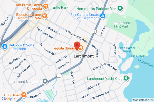 The New Rochelle Agencies