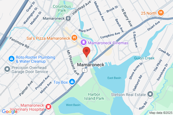 Bach to Rock Mamaroneck