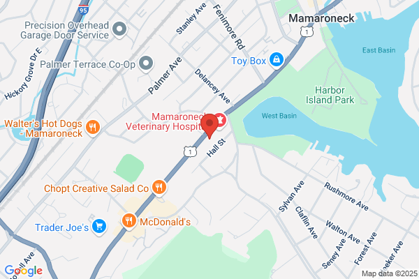 Burke Rehabilitation & Physical Therapy Outpatient Clinic - Mamaroneck