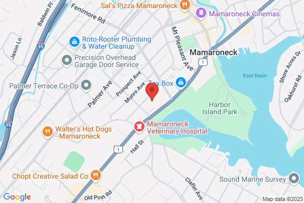 Woman's Club of Mamaroneck Inc