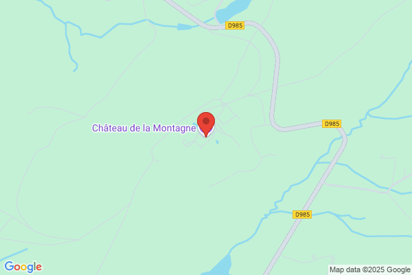 Chateau De Montagne