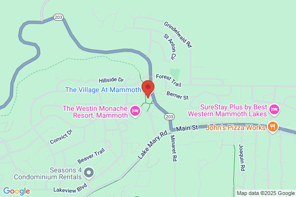 Mammoth Properties