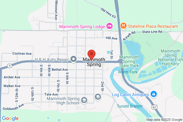 Mammoth Spring Library