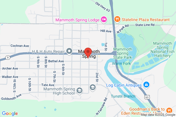 Mammoth Springs Police Department