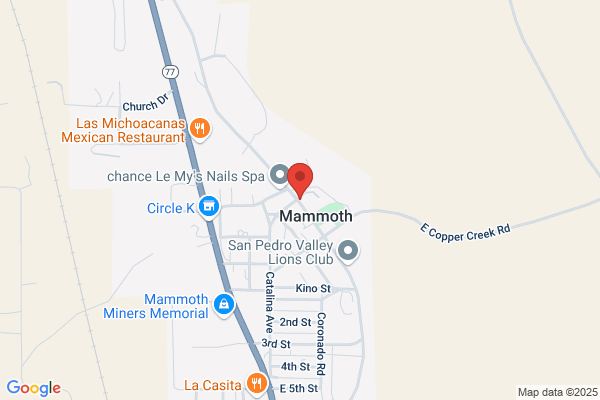 Main Market Mammoth