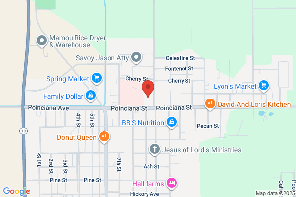 F Peter Savoy III Law Office
