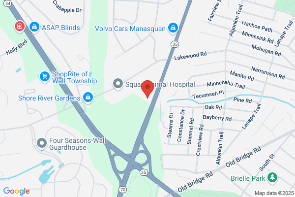 Allstate Insurance: Nicholas San Filippo