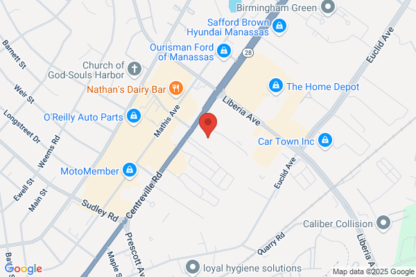 Cordis Fish & Pet Supplies