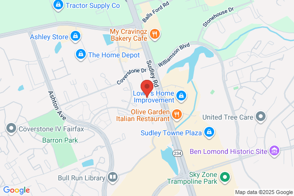 Children's Services of Virginia Inc