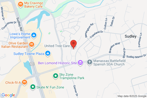 service tree care inc