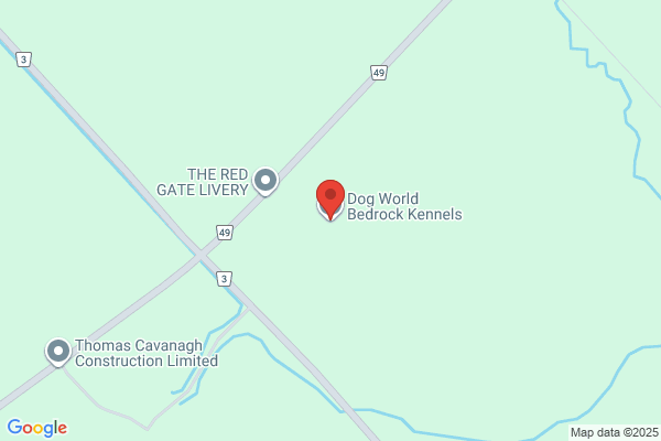 Dog World Kennels