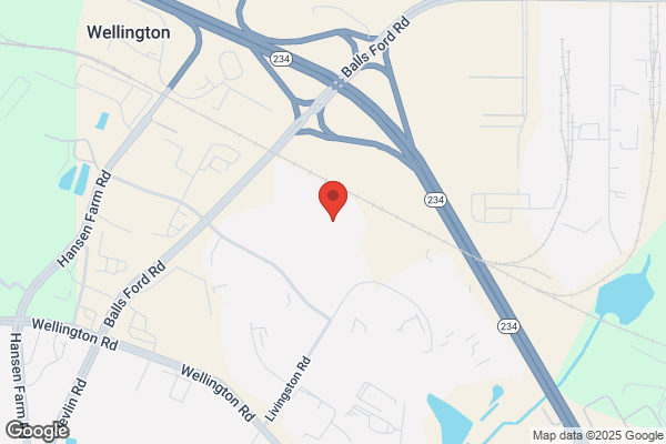 Virginia Snack Sales Inc