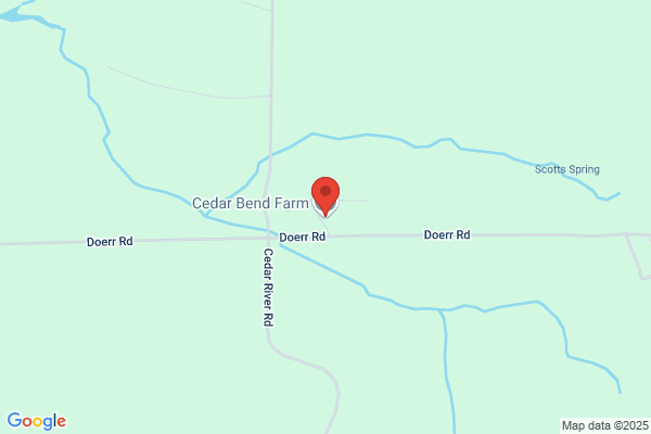 Cedar Line Llc