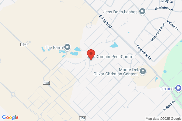Domain Pest Control
