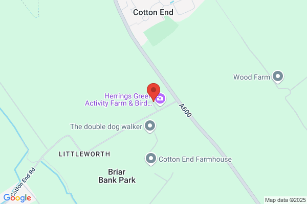 The British School of Falconry