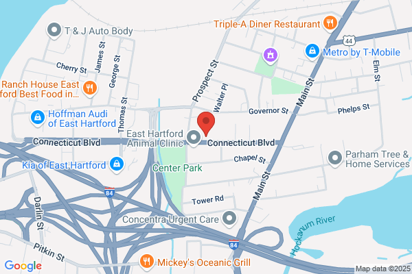 Connecticut Feline Medicine and Surgery