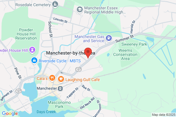 Manchester Animal