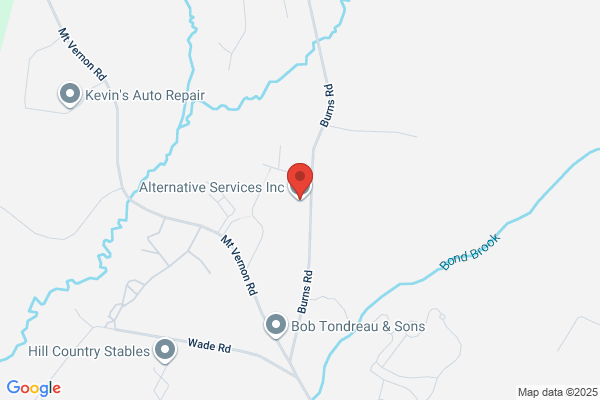 Alternative Services Inc