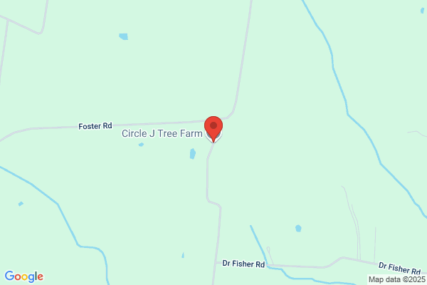 Circle J Tree Service