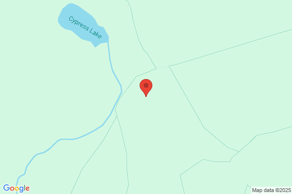 Cypress Island Inc
