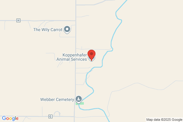 Koppenhafer Animal Services