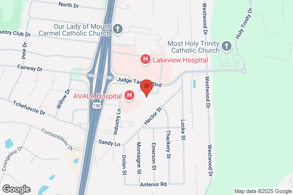 Pontchartrain Hematology Oncology Inc