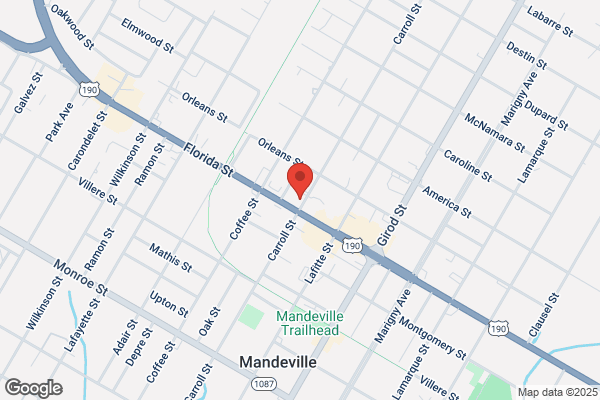 Econo Cleaners Mandeville