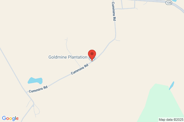 Woodsland Plantation Seed