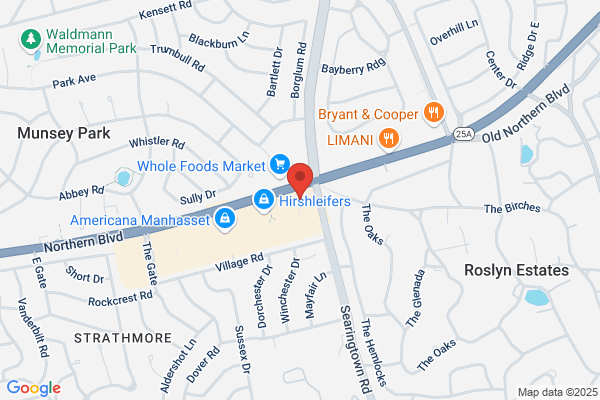 Louis Vuitton Manhasset