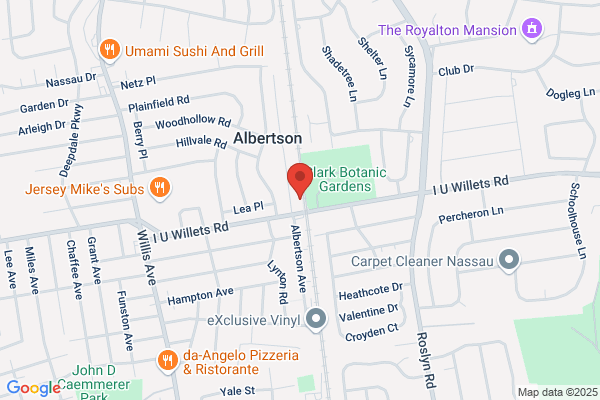 Island Vein Specialists of Mineola